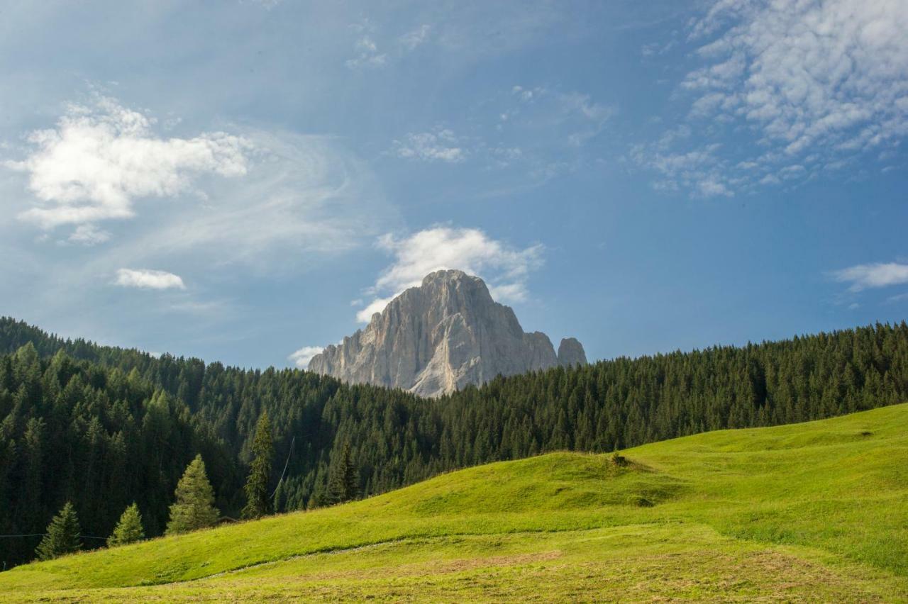 Villa Insam Selva di Val Gardena Exterior photo